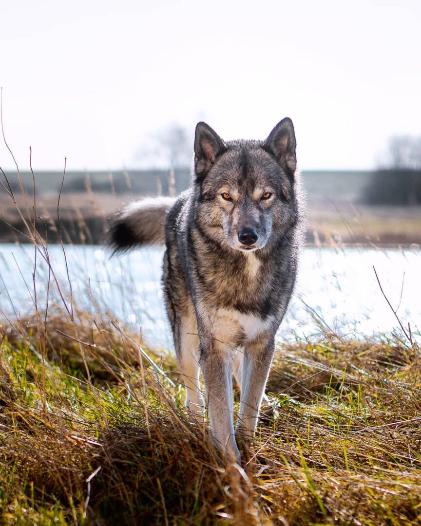3 years ago we had our first premium shooting with a photographer in Northern Ge...