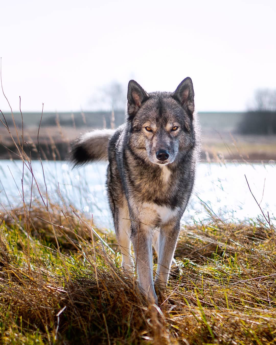 3 years ago we had our first premium shooting with a photographer in Northern Ge…