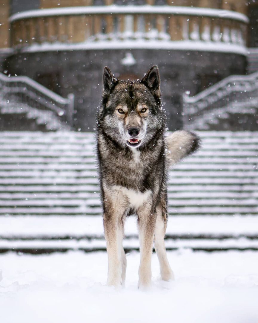 In a bit the new season of Game of Thrones will start. I am very excited to lear...