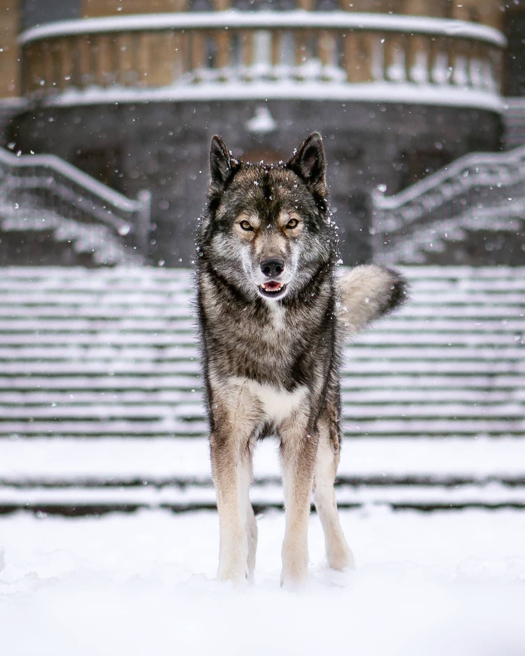 In a bit the new season of Game of Thrones will start. I am very excited to lear…