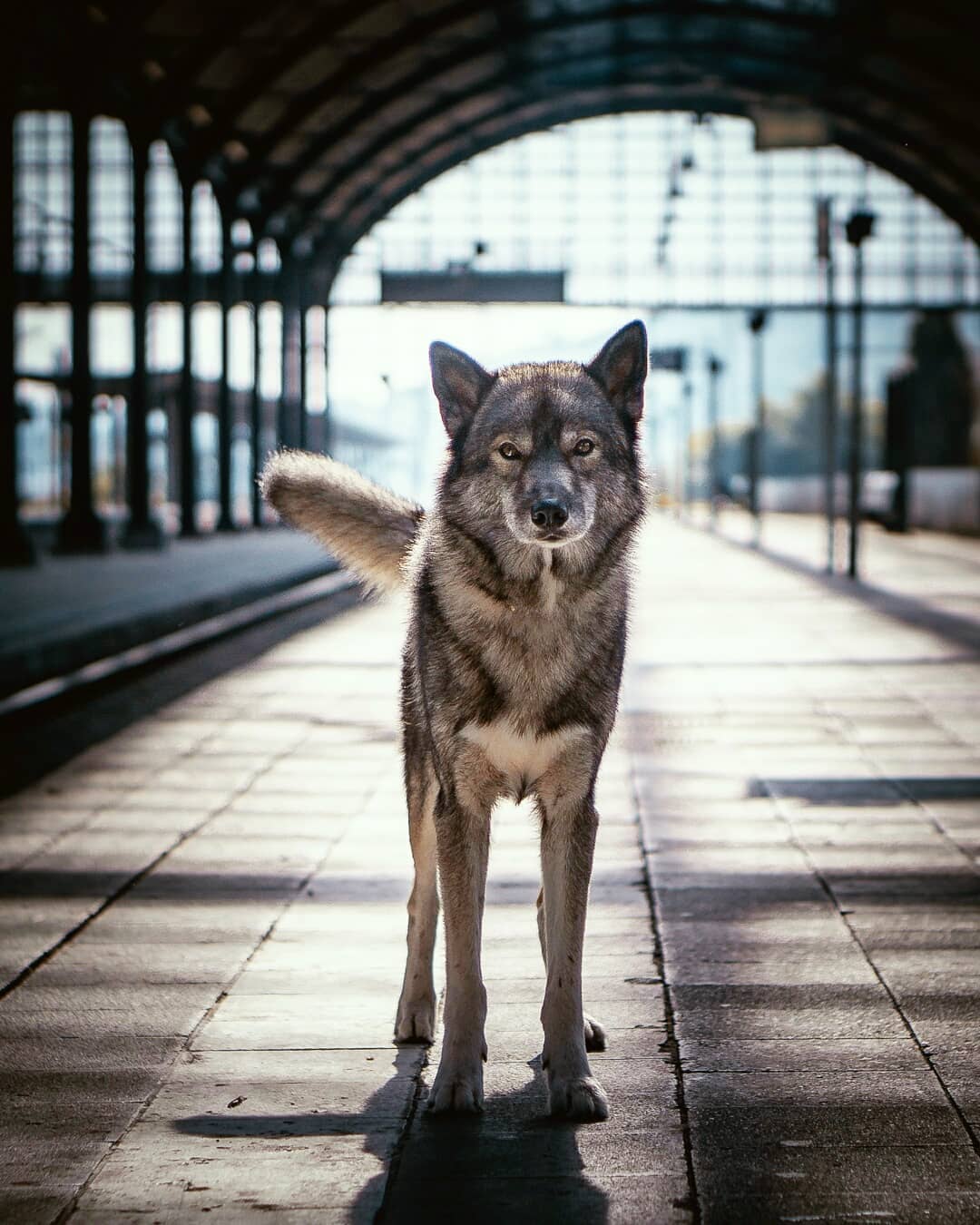 On the  r̶o̶a̶d̶ rail again… 
.
Seems as if these days are for moody edits… …