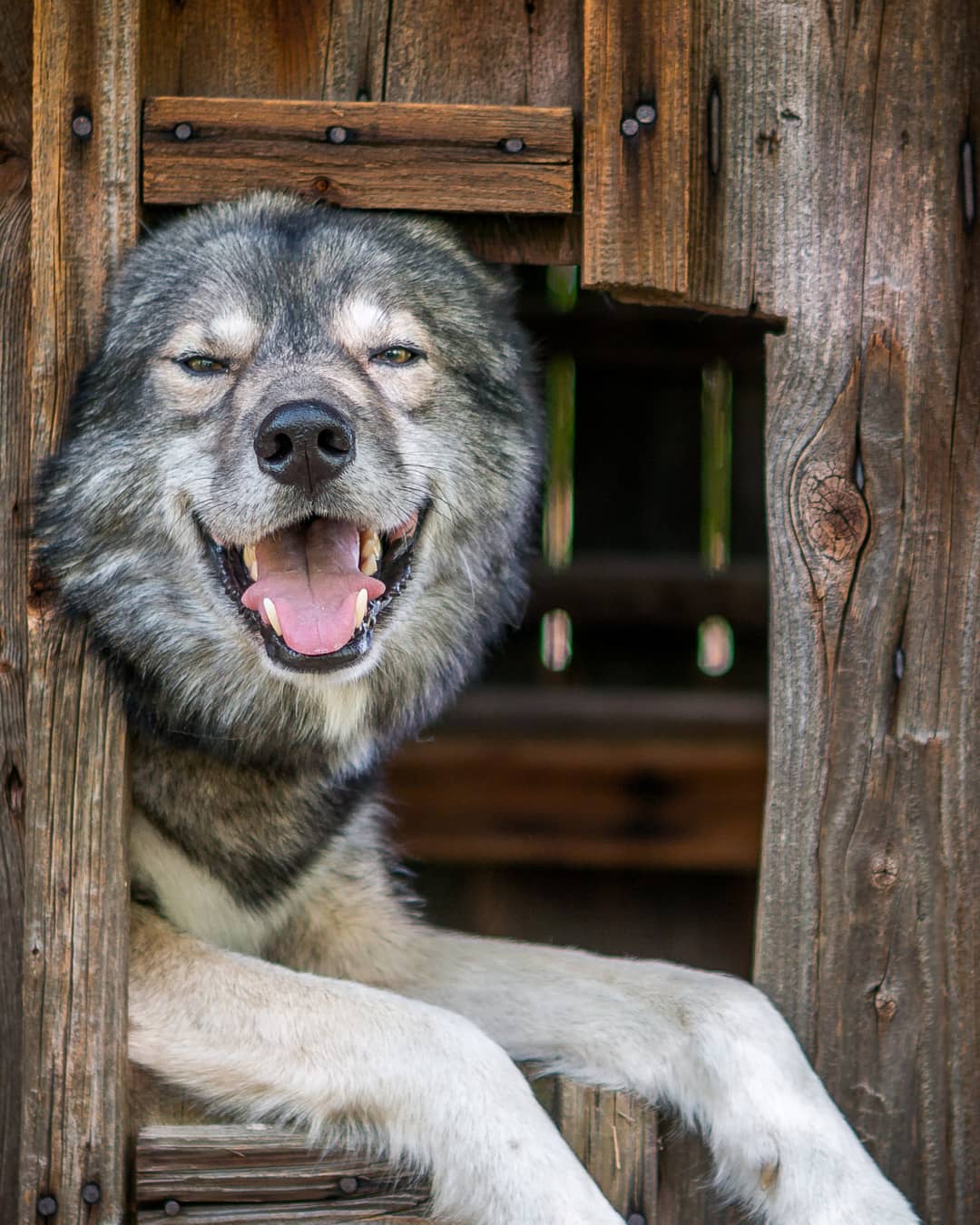 Only 1 more day to weekend …