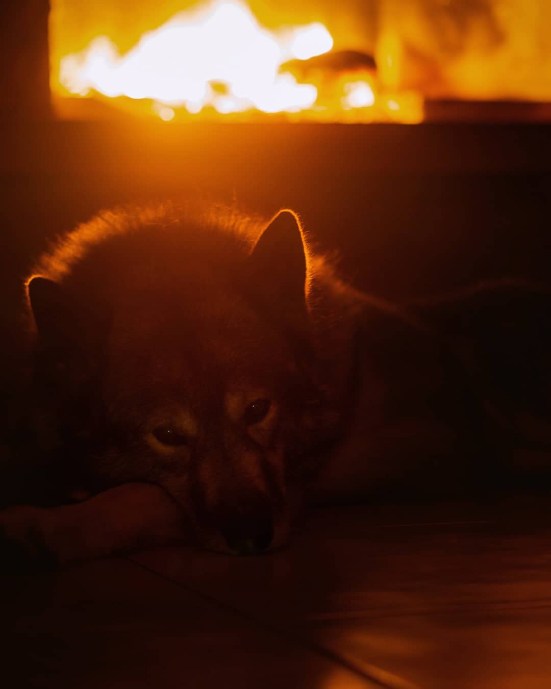 The crackling fire 
Even as a kid I was fascinated by fire… loved to go to sum…