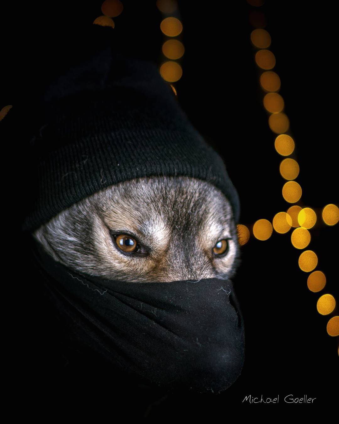 Attention 

Burglary Reports incoming from all over the world.

Fat old guy, wi…