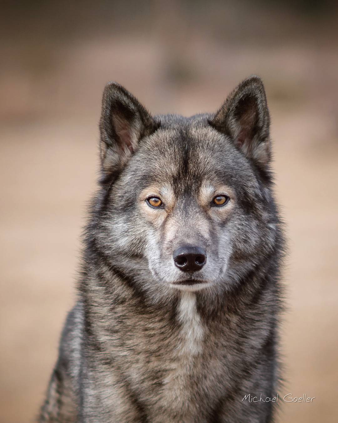 „I will start with photography, one I get a camera!“ Is something I hear often.
…