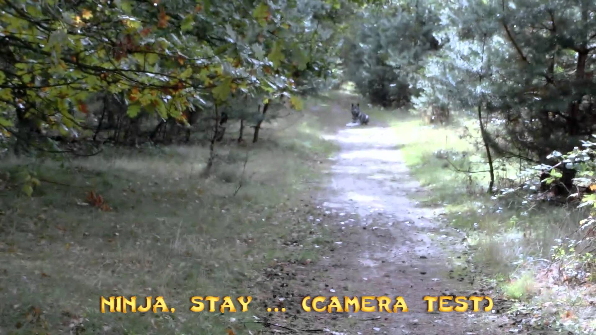 Just a camera test
