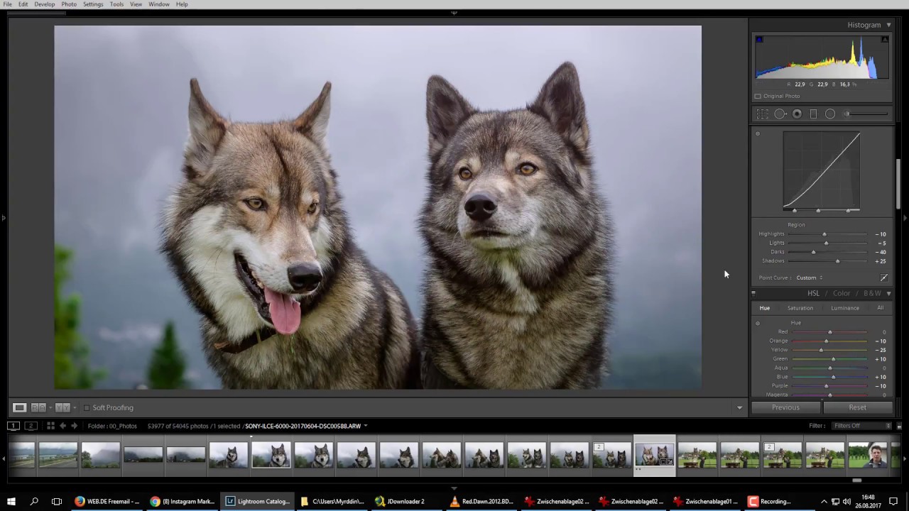 Lightroom Edit: "Wolf look-alike Siberian Husky Ninja and Son Hadez"