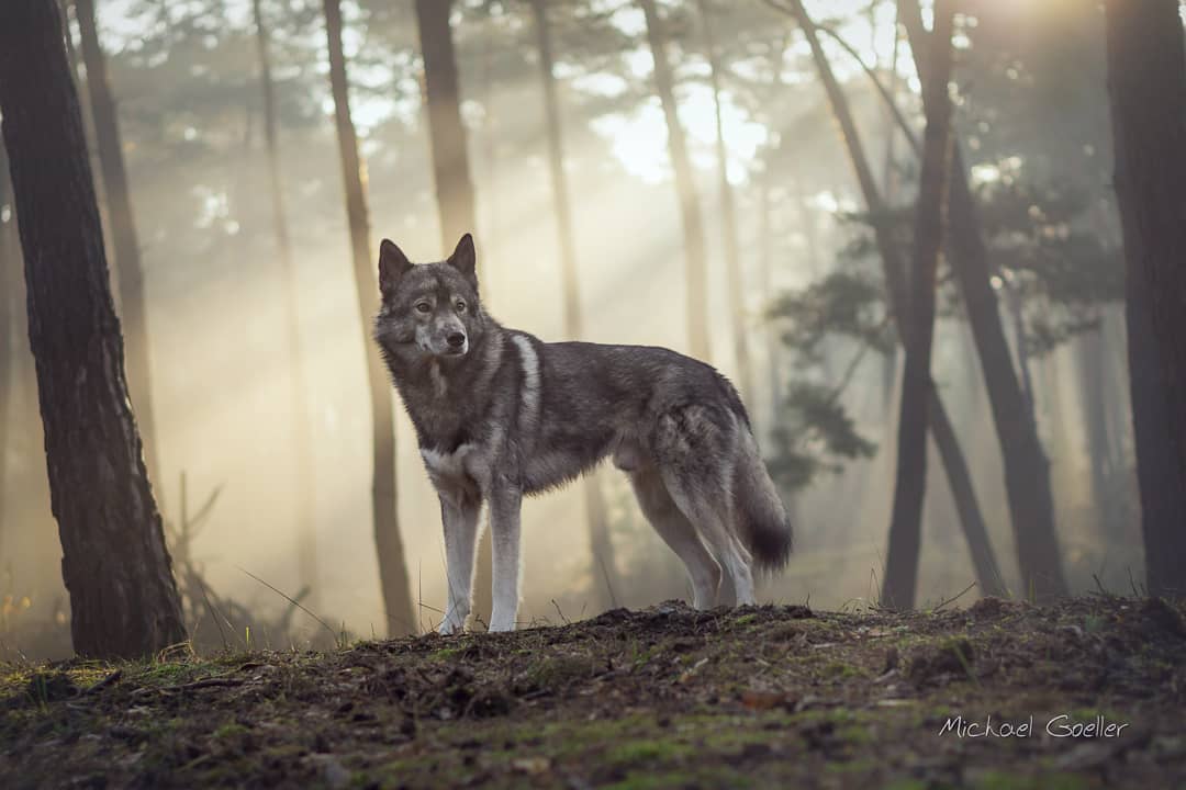 magic morning light ...