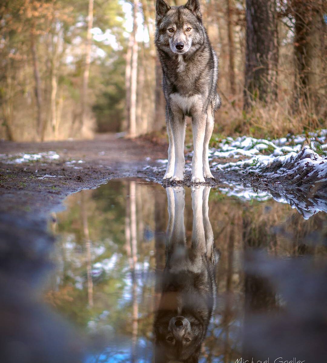 Some numbers today 

I got my Sony a6000 in July 2015 and have been using it pre...
