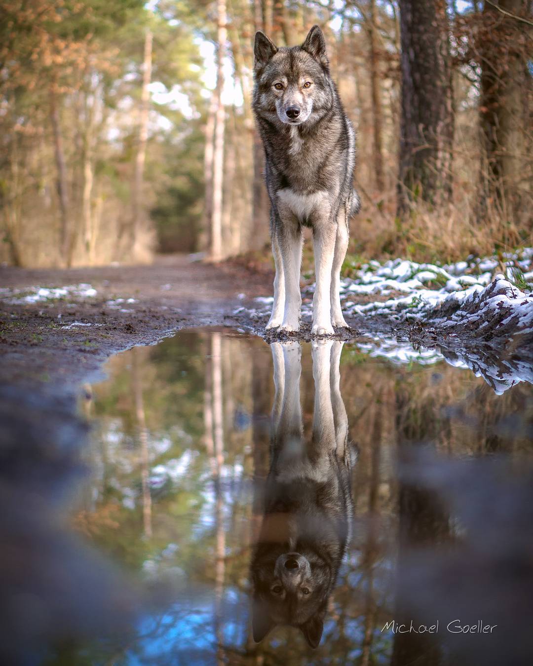 Some numbers today 

I got my Sony a6000 in July 2015 and have been using it pre…