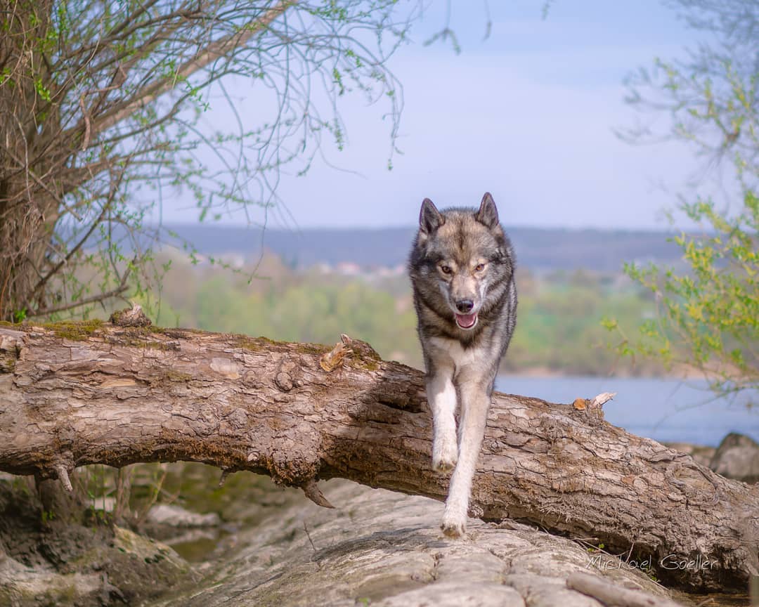 We have another beautiful spring day... I wanted to spend it at the riverside at...