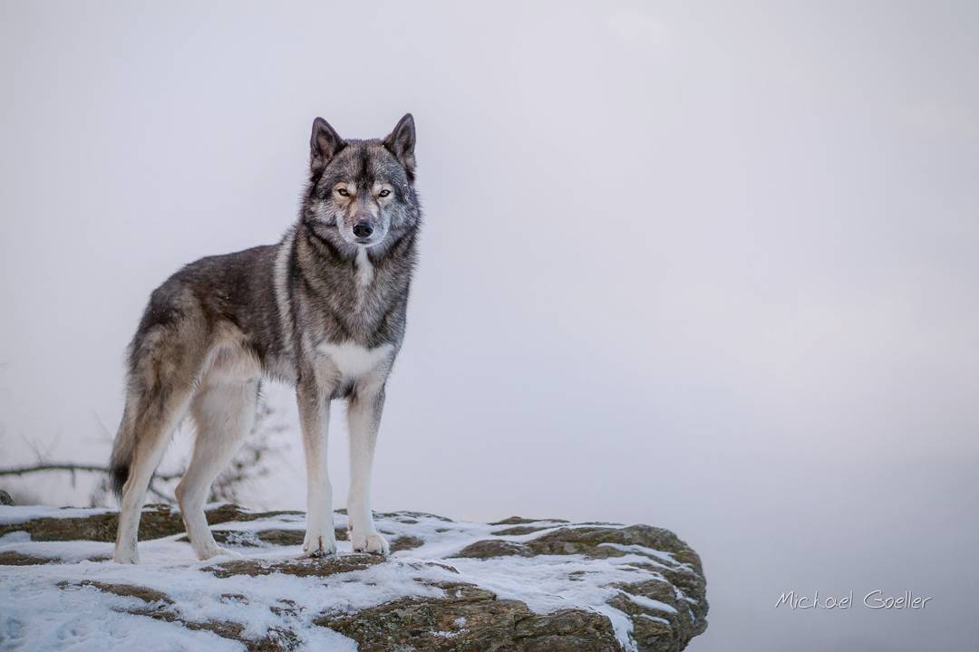 We have had mud and rain for 2 weeks now... I still have my new favorite shot to...