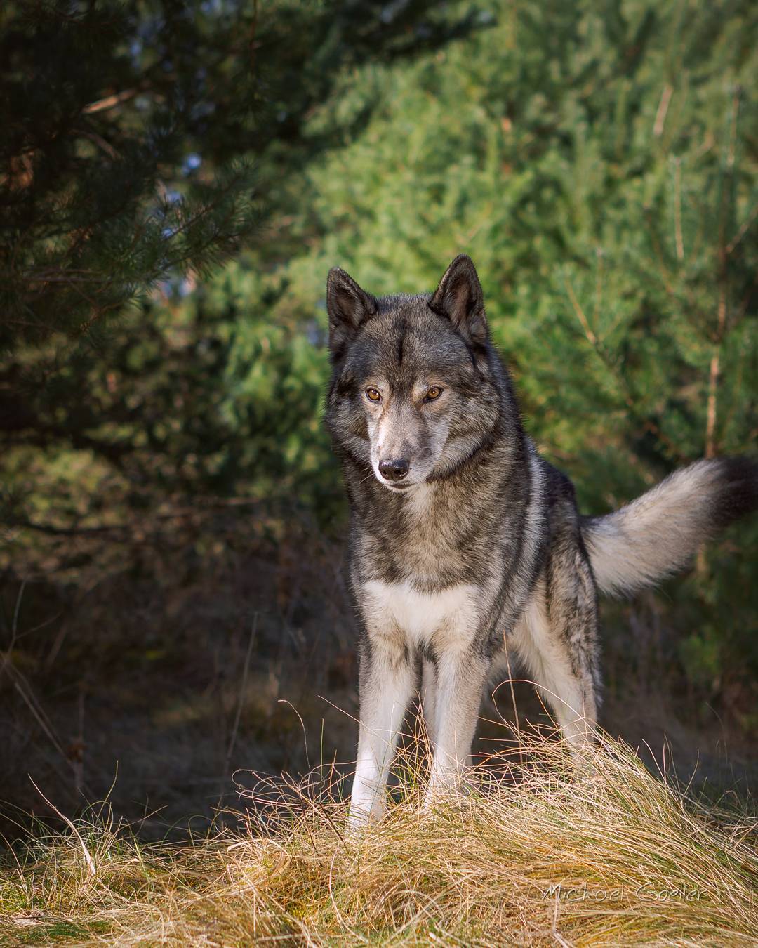 When I leave the house, I am focussed on the hike, the kind of pictures I want t…